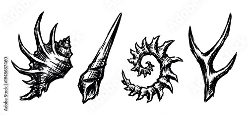 Hand-drawn sketch illustrations depict various stylized organic forms and natural elements with intricate details.