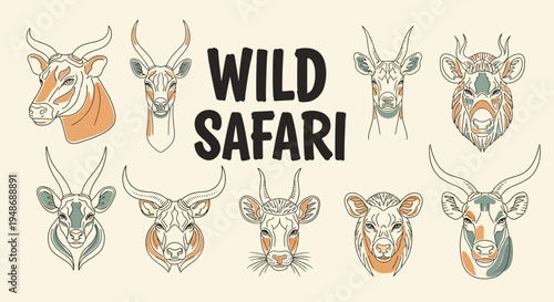 Set of 8 wild animal heads vector illustrations