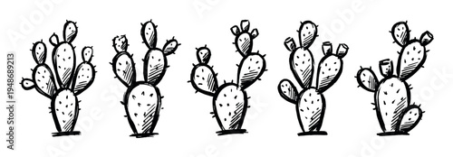 Row of five hand-drawn prickly pear cacti illustrations, showcasing their distinctive paddle-shaped pads and spiky texture in a sketch style.