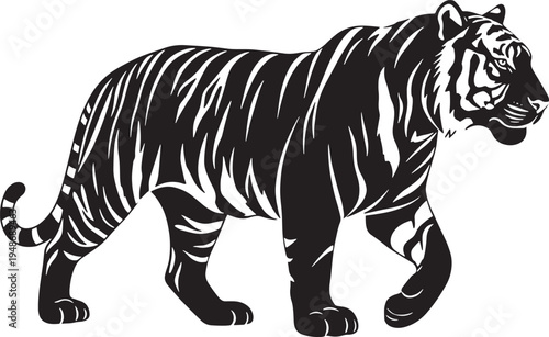 A black and white illustration of a walking tiger  side view