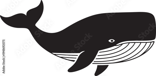 Whale swimming ocean sea creature black and white illustration