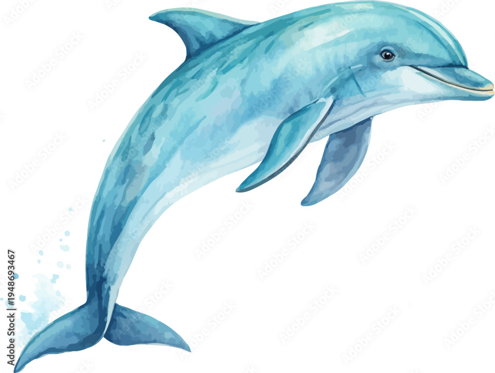 Obraz premium Watercolor Dolphin Illustration, Ocean Animal Art, vector isolated on white background