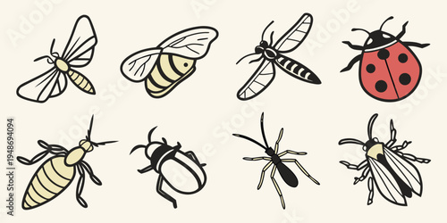 a group of different insects Vector
