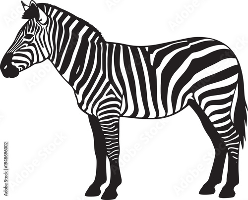 Zebra standing profile view black and white illustration animal mammal
