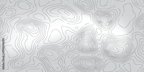Abstract land elevation pattern, layered white contour curves over soft gray background, modern map-inspired design.