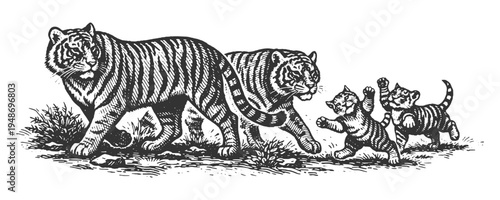 Tiger Family with Playing Cubs and Mountain Landscape Vector Illustration in Hand Drawn Engraving Style Featuring Wild Exotic Big Cat Design