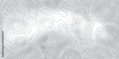 Modern geographic isoline artwork, thin white elevation curves flowing across a soft gray landscape pattern.