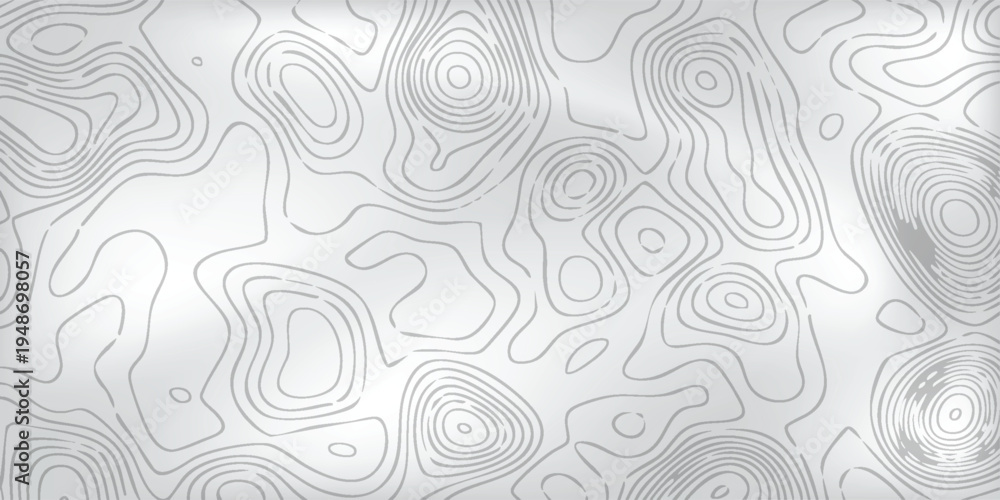 Fototapeta premium Abstract landscape contour artwork, pale gray background with layered white elevation strokes forming organic geographic patterns.
