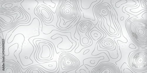 Abstract landscape contour artwork, pale gray background with layered white elevation strokes forming organic geographic patterns.