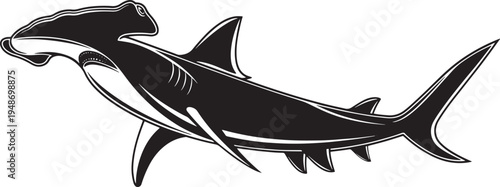 Hammerhead shark swimming underwater vector illustration isolated on transparent background