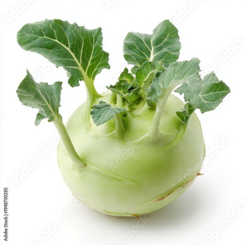Fresh Green Kohlrabi Vegetable with Leafy Stems Isolated on White Studio Background