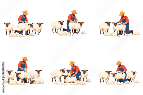 Farmer shearing sheep in a field