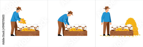 Farmer feeding sheep in a pen