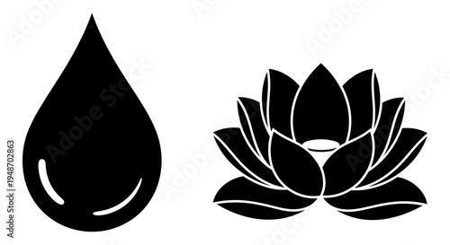 Harmony of water and lotus symbolizing purity and balance in nature Vector, illustration