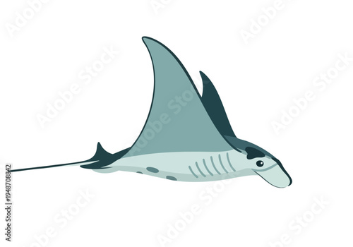 An elegant illustration of a manta ray gracefully swimming through blue waters, showcasing its distinctive fins and streamlined body