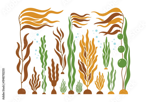 Underwater Flora A Vibrant Collection of Aquatic Plants and Seaweed Varieties