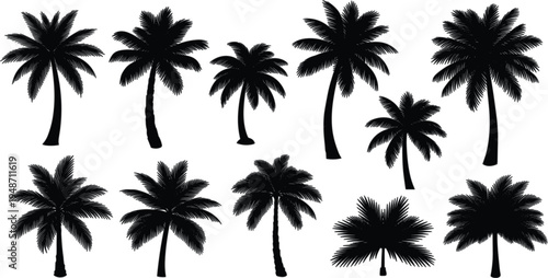 Palm Tree Silhouette Vector Collection Featuring Tropical Coconut Palm Trees Isolated for Summer Beach Landscape Design, Exotic Nature Illustration, and Travel Theme Graphics