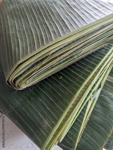 Large green banana leaf with prominent vertical ridges and veins