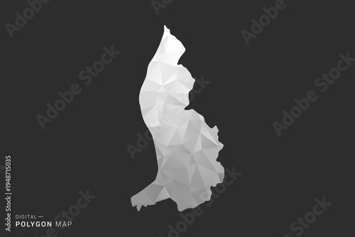 Liechtenstein Map - Polygon style vector illustration in black, gray and white low poly geometric design, minimal silhouette, isolated for infographic.