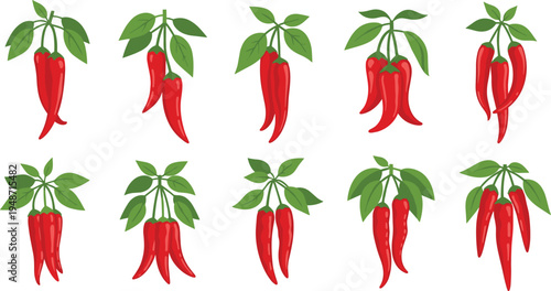 Red Chili Pepper Icon Set with Green Leaves Spicy Hot Chili Collection for Cooking, Food Ingredients, Kitchen Design, and Organic Vegetable Illustrations