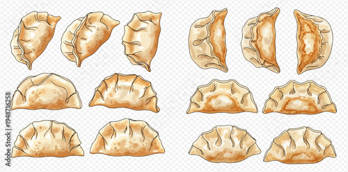 Set of delicious hand-drawn watercolor Asian dumplings, gyoza, and potstickers on a transparent background.