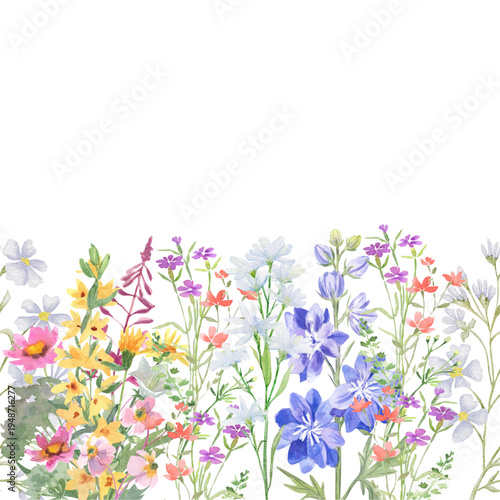 Seamless Border made with watercolor pastel fragile wildflowers, stems and tiny leaves, isolated illustration. Floral element for wedding stationery and greetings cards