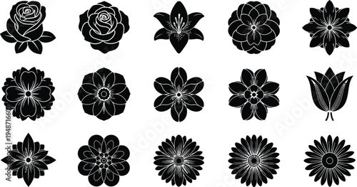 Black and white floral with various flower types flowers silhouettes