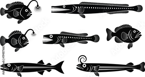 Black and white of deep sea fish with large teeth and bioluminescent lures anglerfish black and white fish with sharp teeth
