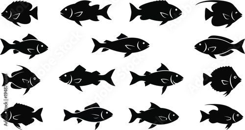 Black fish silhouettes on white background aquatic