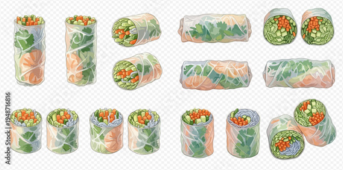 Set of fresh Vietnamese spring rolls with vegetables, shrimp, and herbs on a transparent background.