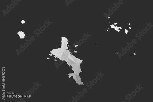 Seychelles Map - Polygon style vector illustration in black, gray and white low poly geometric design, minimal silhouette, isolated for infographic.