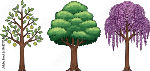 Decorative tree illustration set featuring fruit tree, green leafy tree and blooming ornamental tree isolated on white background, nature landscape design elements collection