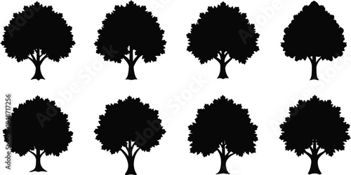 Black silhouettes of trees on white background 2