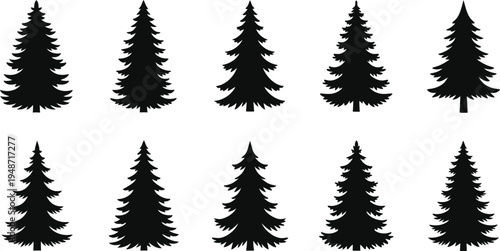 Black silhouettes of pine trees on white background tree evergreen trees tree shapes