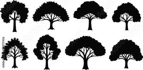 Black silhouettes of trees on white background symbol