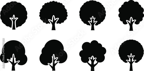 Black silhouettes of trees with white highlights on trunks