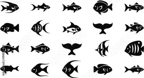 Black silhouettes of various fish on white background sea creatures