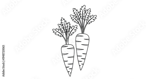 Minimalist black and white line drawing of two whole carrots with their leafy green tops attached for coloring purposes.