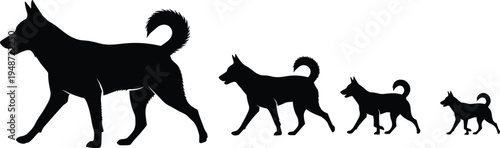Black silhouettes of five dogs of varying sizes walking from left to right canine animal