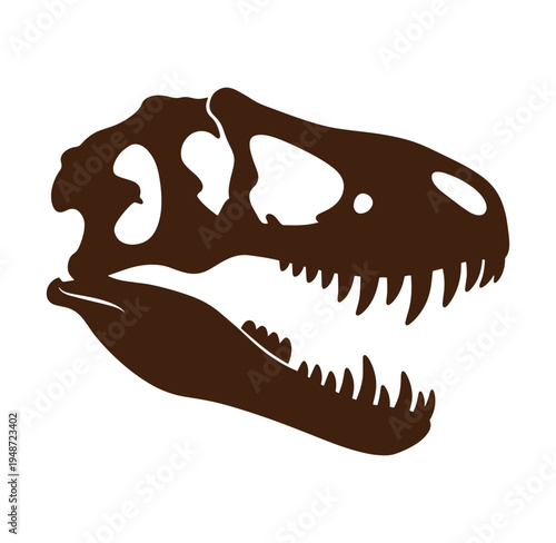 Brown dinosaur skull with sharp teeth on white background