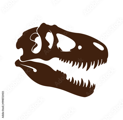 Brown dinosaur TRex skull head side view with open mouth and sharp teeth on white background