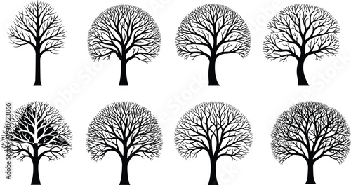 Stylized tree illustration sequence showing progressive branching complexity, fractal growth patterns, and natural development concept for biology, computer science, and educational design projects
