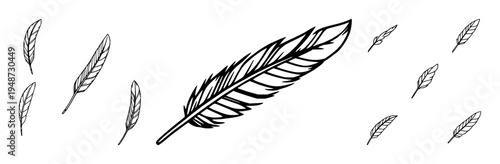 Feather set with stylized feather icons against a white background featuring bold line art, single color, minimalist shapes with logo and vector illustration