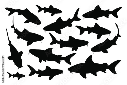 Diverse Silhouettes of Catfish in Various Poses