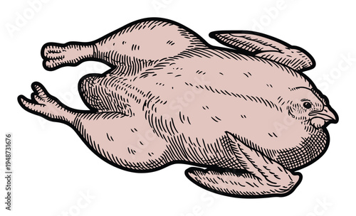 Stylized of a Whole Raw Chicken on a White Background