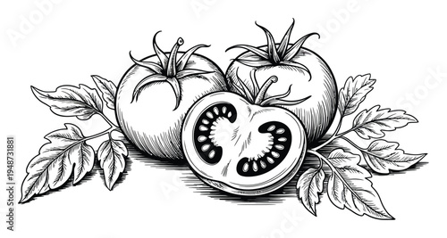 Vintage of Two Whole Tomatoes and One Halved Tomato with Leaves