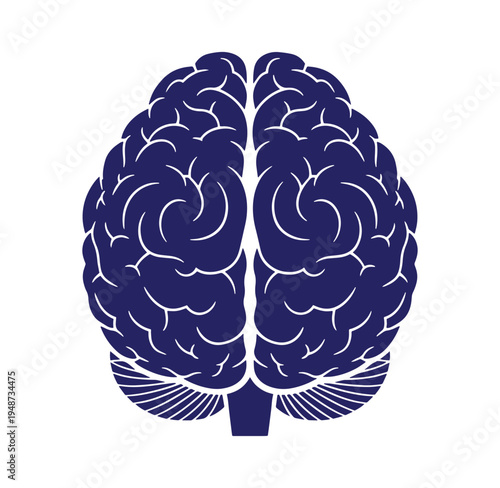 Brain illustration with detailed wrinkles and folds in blue color