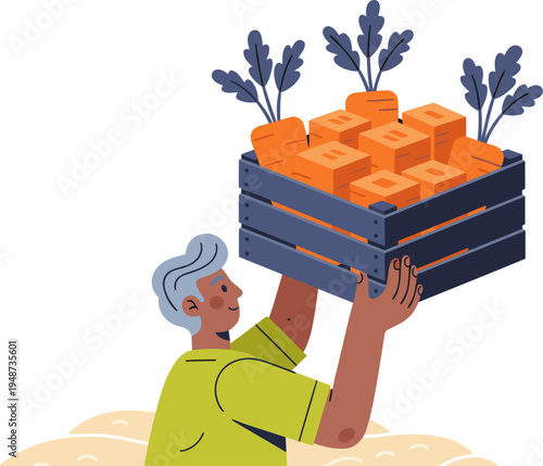 An elderly farmer harvests a crate of carrots, showcasing a bountiful harvest. A warm, inviting illustration with a focus on fresh produce and rural life.