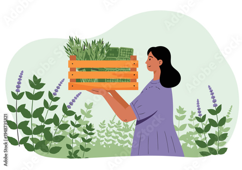 A woman harvests aromatic herbs, showcasing a vibrant, natural scene.  She carries a wooden crate filled with fresh herbs, smiling.  Ideal for health, wellness, and lifestyle themes.
