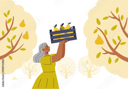 A woman harvests pears from a crate in an orchard. A warm, inviting scene with a focus on autumn harvest and rural life.  Ideal for seasonal marketing.